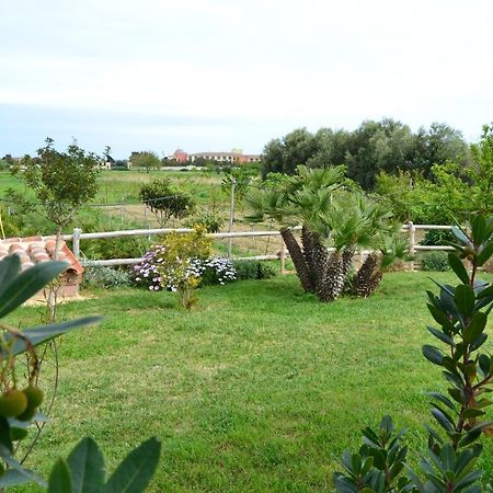 Casa Vacanze Il Pino, 奥罗塞伊 外观 照片